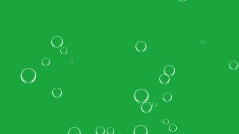 Rising white bubbles on green screen chroma key background. Floating air bubble Stock Footage 345070679
