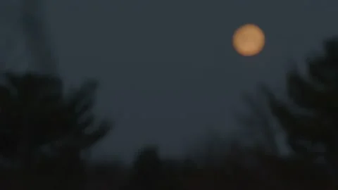 Rising winter moon 動画素材 171972224