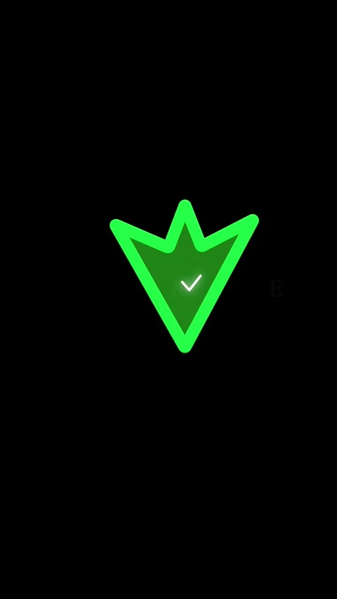 Risk free green shield checkmark animation broadcast graphics 4k vertical v.. Video stock 344287139