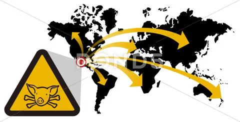 Risk of global epidemic of swine flu Stock Illustration