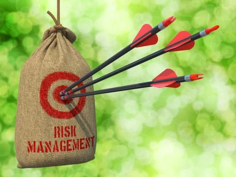 Risk Management - Arrows Hit in Target. Illustrazione stock