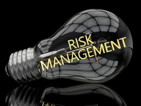 Risk Management Illustration