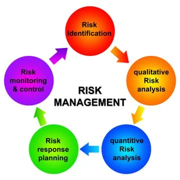Risk management Illustrazione stock