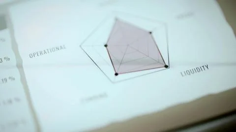Risk Radar polygon across four labeled axes Foto stock