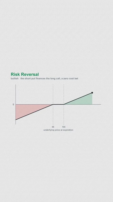 Risk Reversal Options Strategy Payoff Diagram Alpha 4K Vertical 9x16 Light Vidéo 339506965