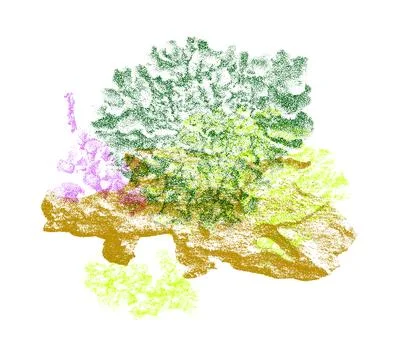 Risograph Print with Photocopy Effect Featuring Lichen and Bark Stock Illustration
