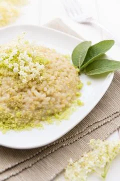 Risotto with elderflowers Stock Photos