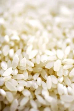 Risotto Stock Photos