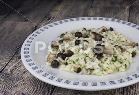 Risotto with pioppini mushrooms Stock Photos
