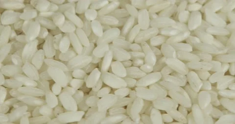 Risotto rice closeup rotating selective focus Stock Footage 169849101