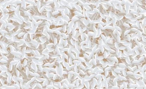 Risotto rice pattern vector illustration Stock Illustration