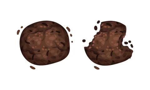 Rispy chocolate biscuits with crumbs set vector illustration on white 스톡 일러스트