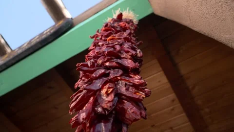 Ristra Видео 254515060