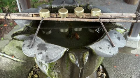 Ritual cleansing of hands Stock Footage 249386333