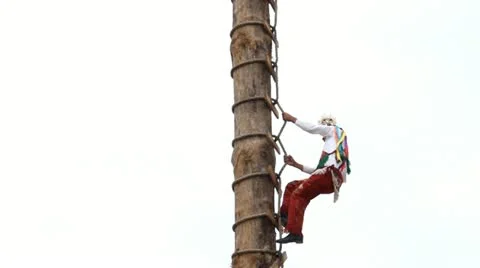 Ritual flyers 스톡 동영상 12533889