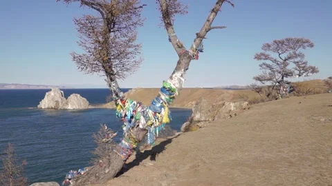 Ritual tree on the background of Cape Burhan on the Olkhon island, lake Baikal Stock Footage 97896918