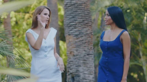 Rivals plan an Evening Party plan Stock Footage 113540312