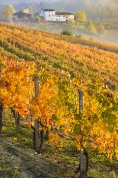 RIVALTA BORMIDA 24 Stock Photos