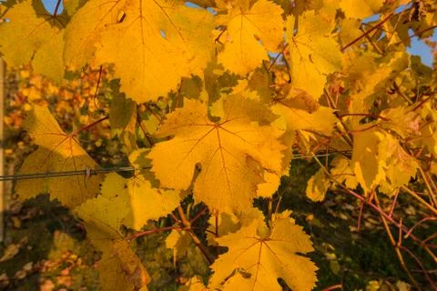 RIVALTA BORMIDA 32 Stock Photos