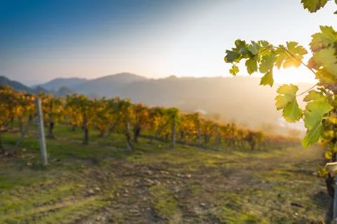 RIVALTA BORMIDA 39 Stock Photos