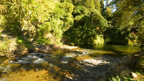 Rivendell river flows Stock Footage 120098153