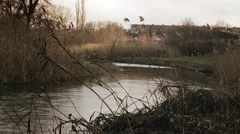 River 001 Stock Footage 21995344