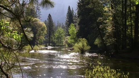 The River 01 - HD 스톡 동영상 134067