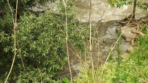 River 1 Stock Footage 755391