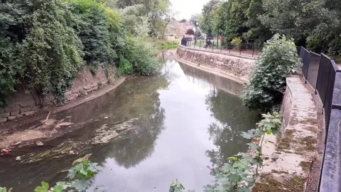 River 1 Stock Footage 160486848