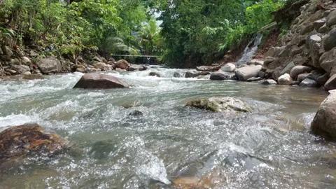 River (1) Stock Footage 229079054