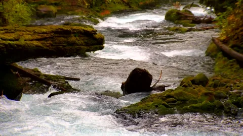 River-1 Video stock 249837749