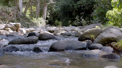 River 1 Stock Footage 262870106