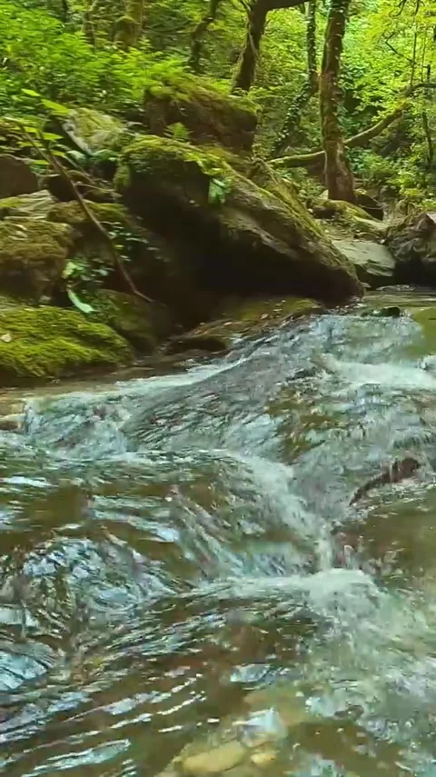 River 1 Stock Footage 303390247