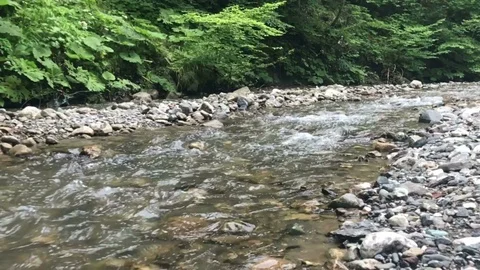 River 1080p / 120fps Stock Footage 103035921