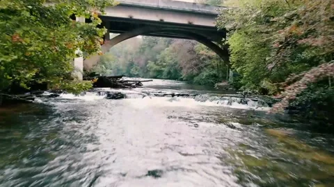 River 12 Video stock 162629594