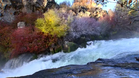 River 13 Stock Footage 249837643