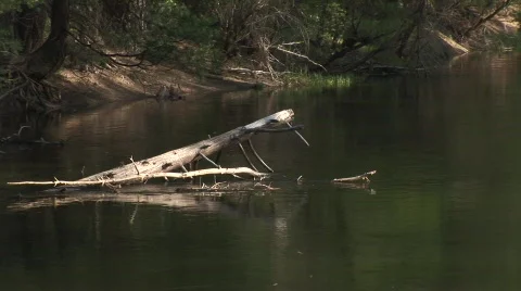 River 1b Stock Footage 476231