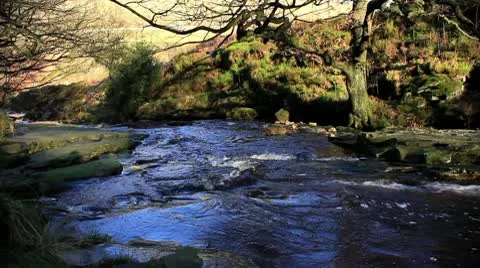 River 2 140112 Video stock 10610448