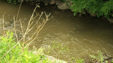 River 2 Stock Footage 755372