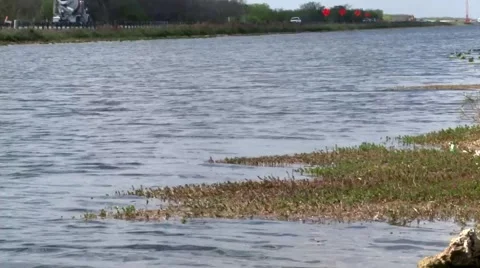 River 2 스톡 동영상 1088285