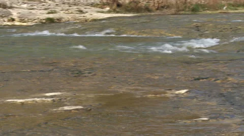 River 2 Vídeos de archivo 23356723