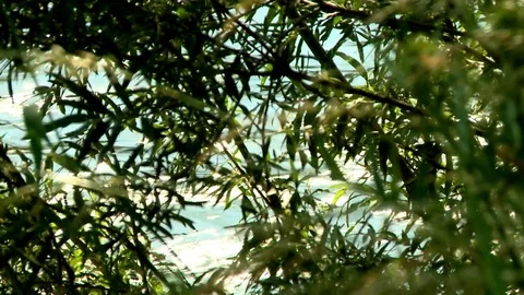 River 2 動画素材 73291890