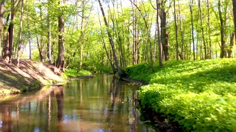 River 2 Stock Footage 130999498