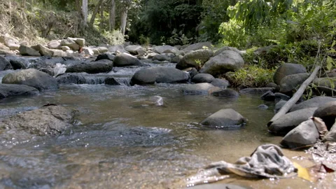 River 2 Stock Footage 262869253