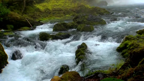 River 21 Video stock 249837552