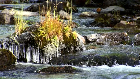 River 22 Stock Footage 249837550