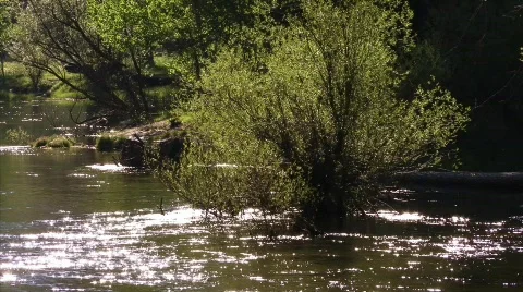 The River 25 - HD Stock Footage 134104