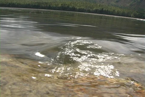 River 3 Stock Footage 331133