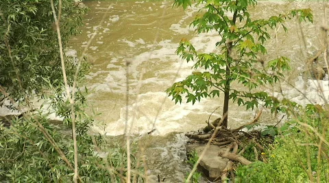 River 3 Stock Footage 755293