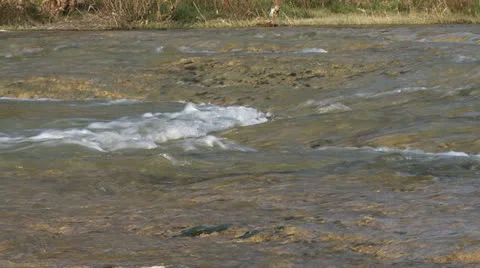 River 3 Stock Footage 23357823